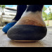 FootPro Wooden Shoe 1